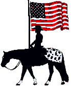 appaloosausaflag.gif